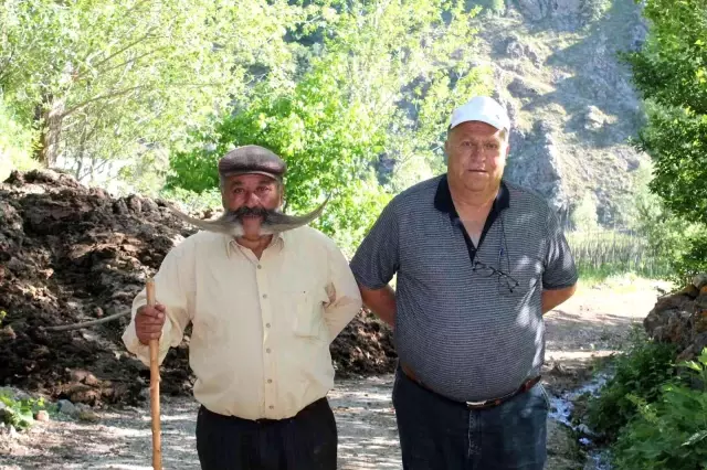 Ayının üzerine yürüyen meşhur pala dayı cesaretiyle ayıya geri adım attırdı