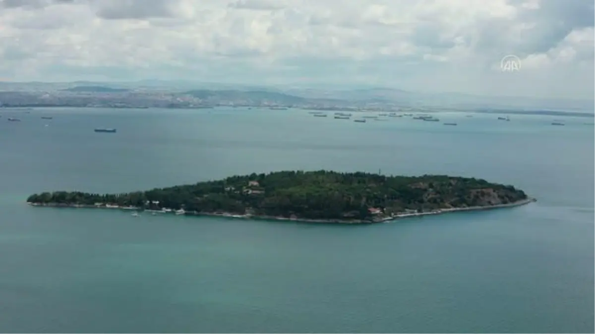 Son dakika gündem: İstanbul ormanlarında 'dumansız yangın'la mücadele