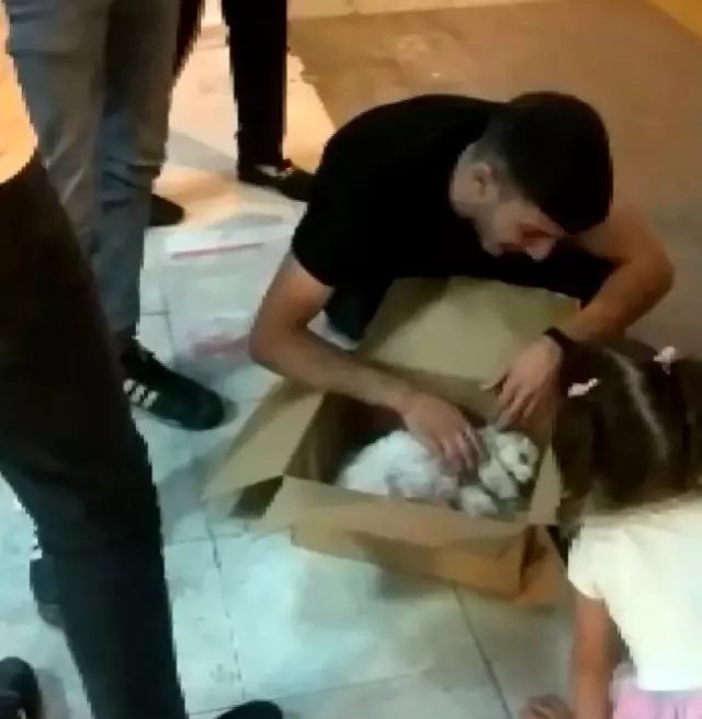 Bisikletin çarptığı köpek öldü, sahibi başına çöküp hıçkıra hıçkıra ağladı