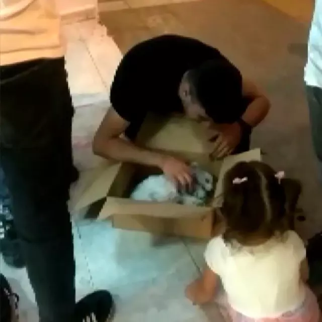 Bisikletin çarptığı köpek öldü, sahibi başına çöküp hıçkıra hıçkıra ağladı