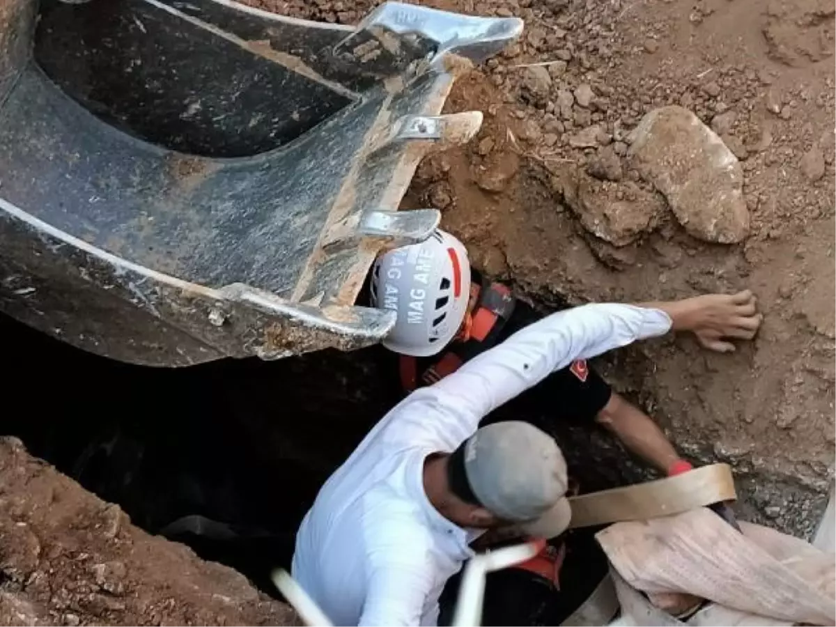 Datça'da içi boş su kuyuya düşen inek kurtarıldı
