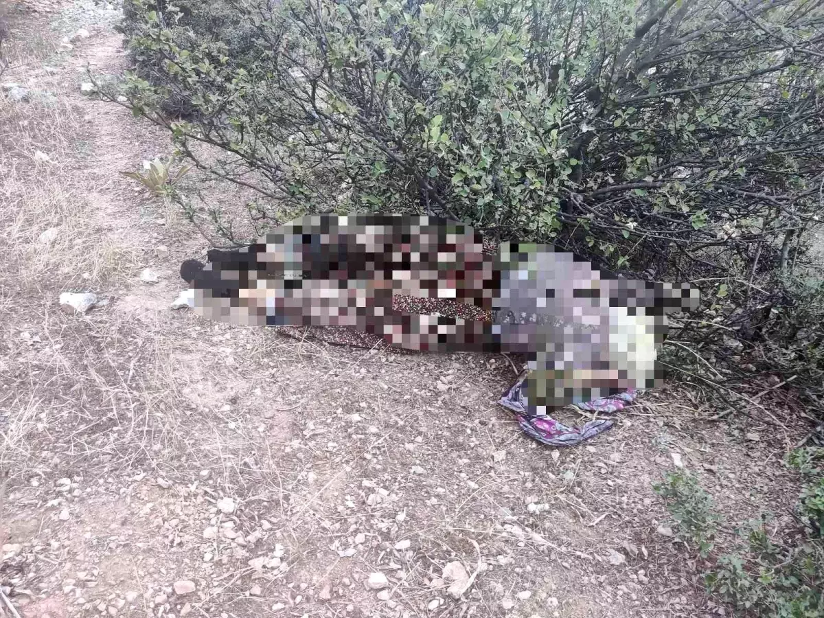 Kayıp olarak aranıyordu acı haber geldi
