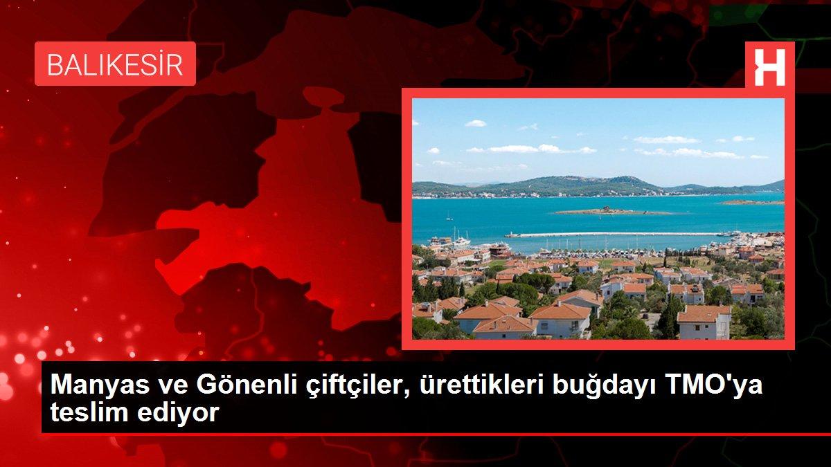 Manyas ve Gönenli çiftçiler, ürettikleri buğdayı TMO'ya teslim ediyor