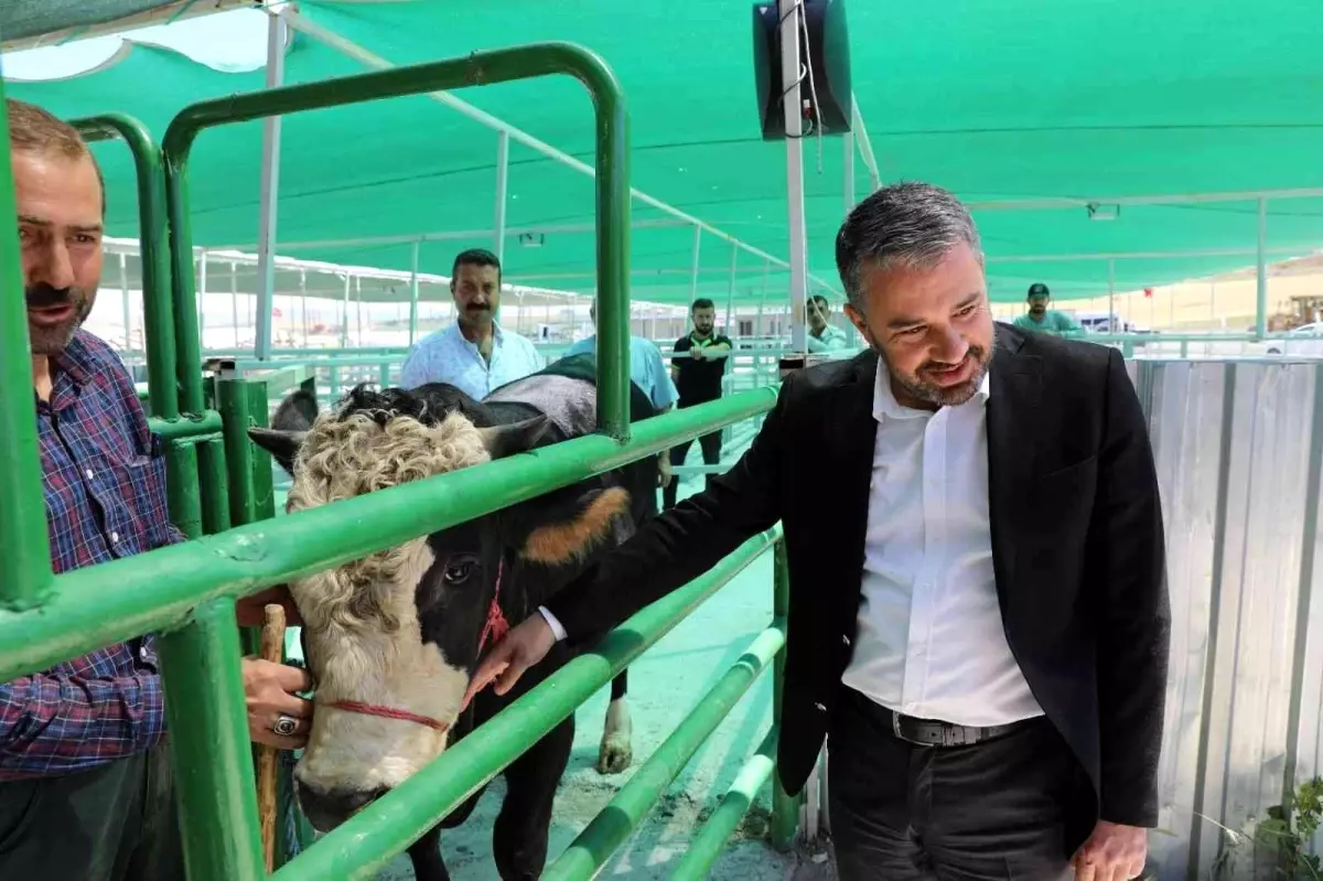 Pursaklar Belediye Başkanı Çetin: 'Bu tesis bir günde 500 büyükbaş hayvan kesme kapasitesine sahip'