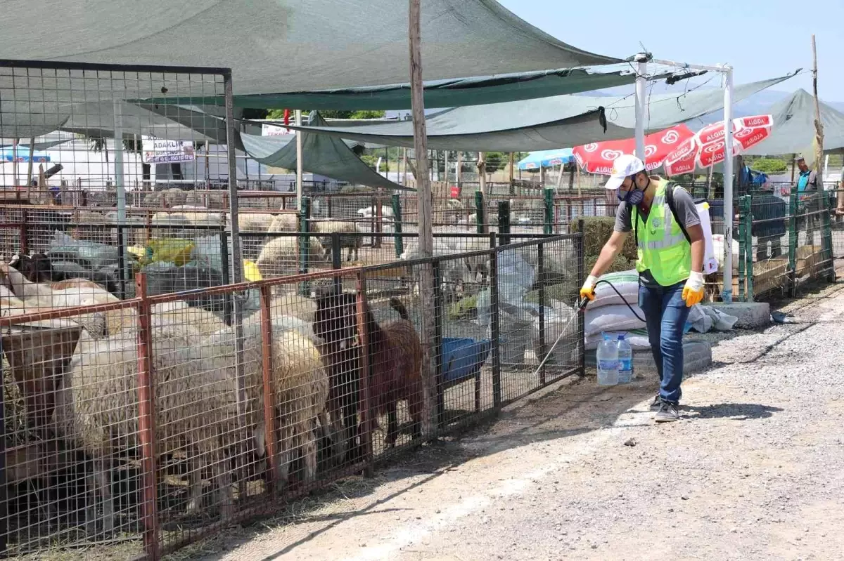 Talas'ın Kurban Pazarı'na tam not