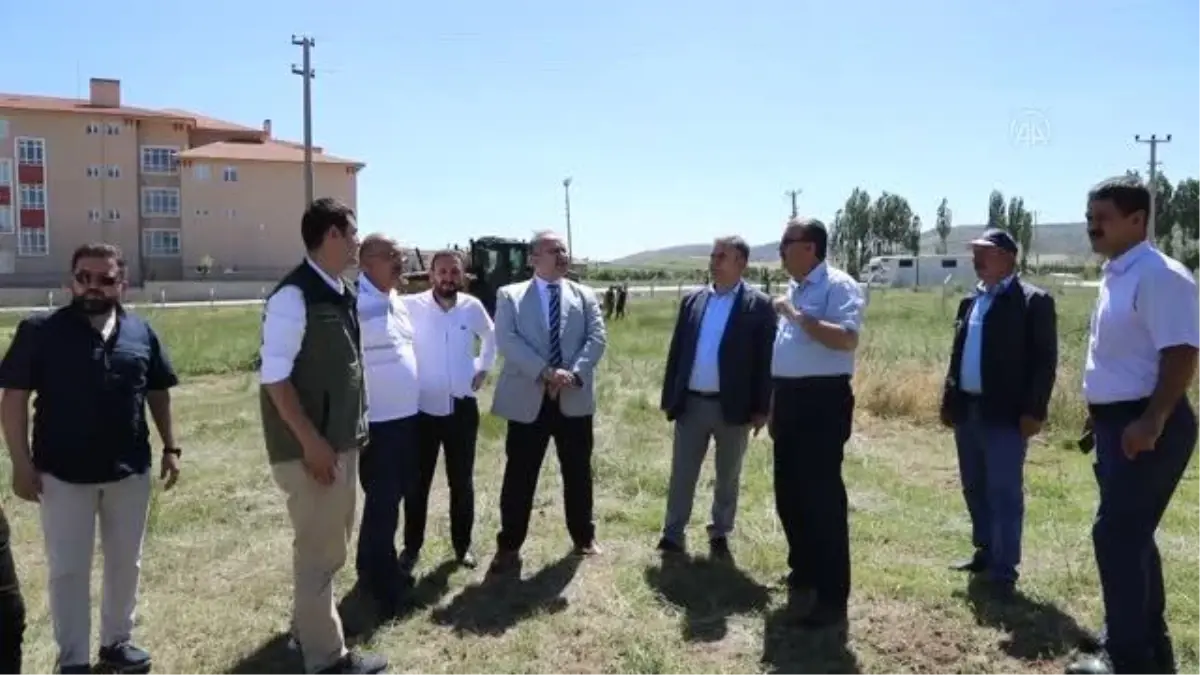 TMO Çubuk'ta hububat alımı yapacak