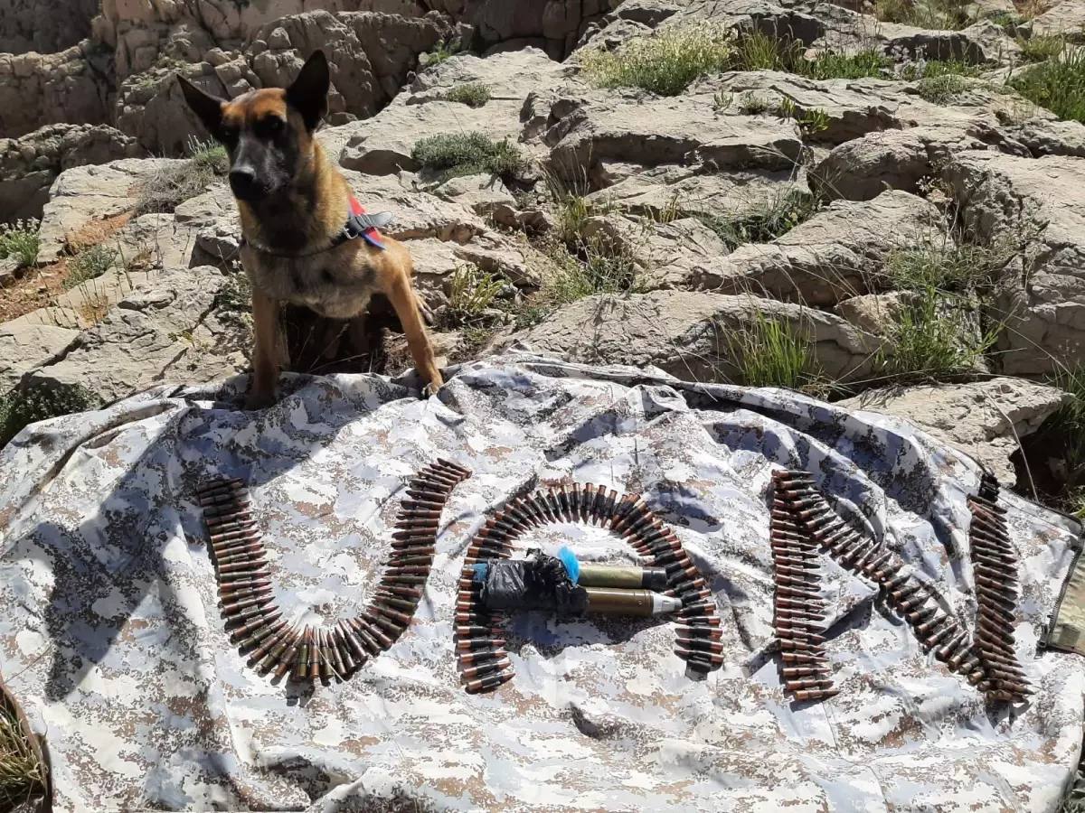 Van'da haziran ayında 316 terör operasyonu düzenlendi