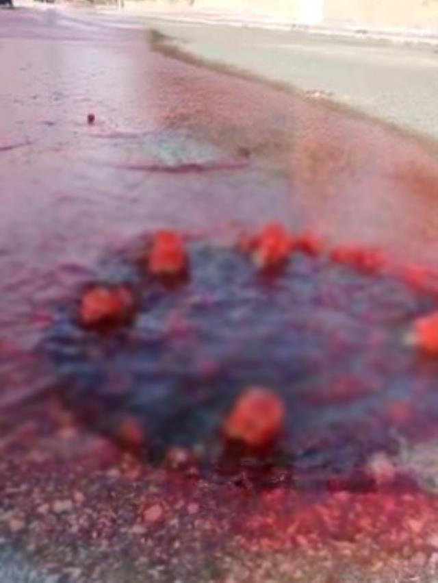 Eskişehir'de rögar kapağından akan kanlar asfaltı kırmızıya bürüdü