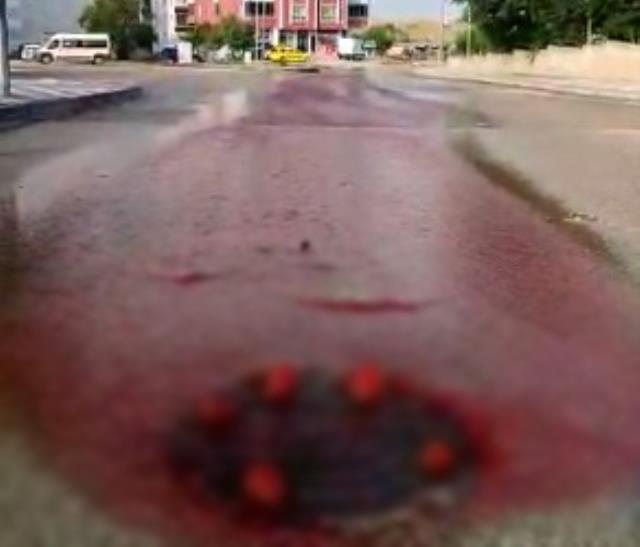 Eskişehir'de rögar kapağından akan kanlar asfaltı kırmızıya bürüdü