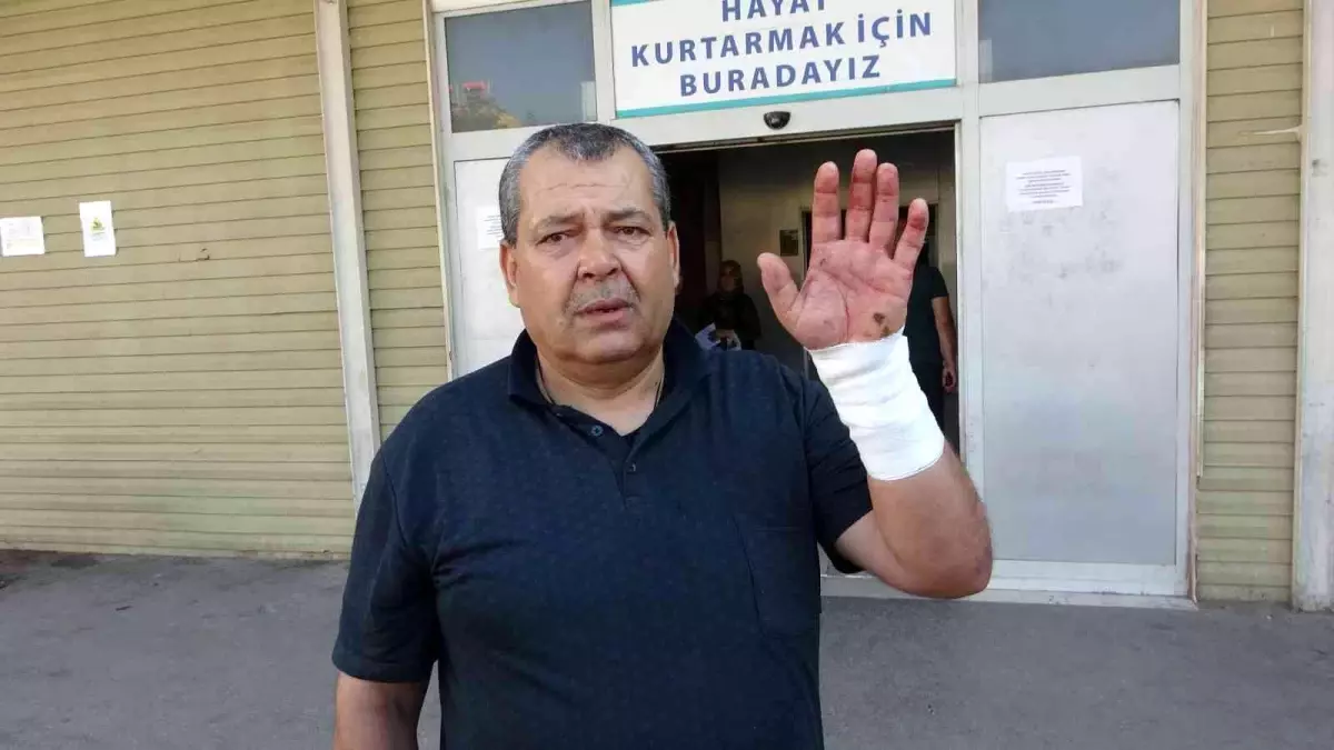 Acemi kasaplar hastanelik oldu