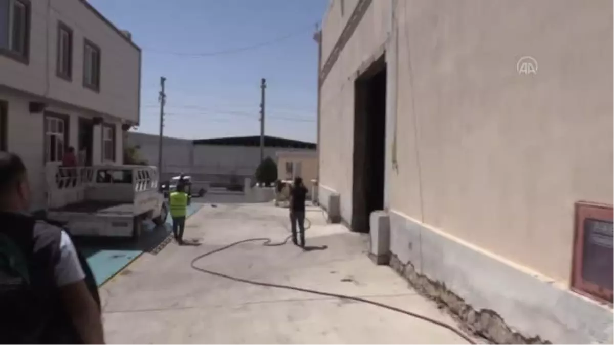 ŞANLIURFA - 'Kurban yakalama timi' kaçan büyükbaş hayvanları yakaladı