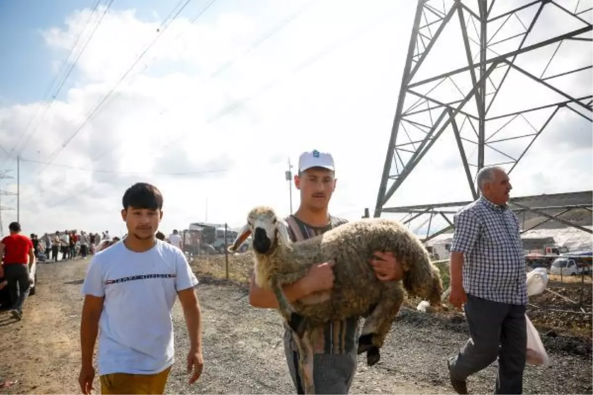 (ek bilgiyle) - Sultangazi'de kaçak kesim yapanlara ceza yağdı