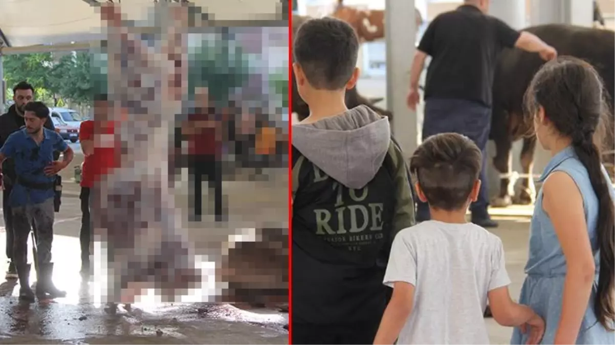 Yine çocuklar yine aynı manzara! Kurban kesimini en ön saflardan pür dikkat izlediler