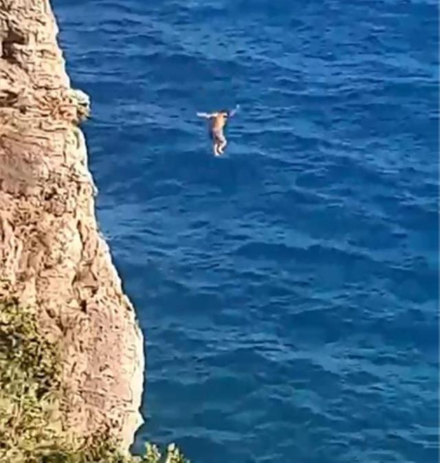 40 metre yükseklikten denize ters düşünce bilinç kaybı yaşadı