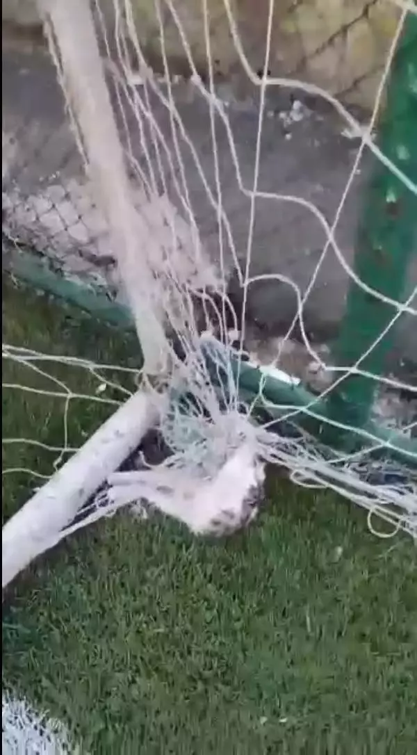 Futbol oynamaya giden gençler, kale ağlarına asılı iki kedi ölüsüyle karşılaştı