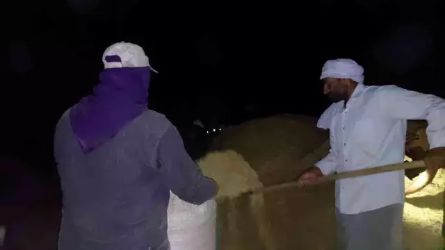 Ay ışığında çalışıyorlar, günlük 500 lira kazanıyorlar