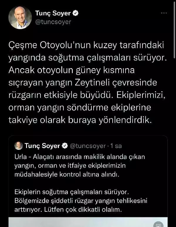 Son dakika haberleri: Çeşme'de makilik yangını (3)