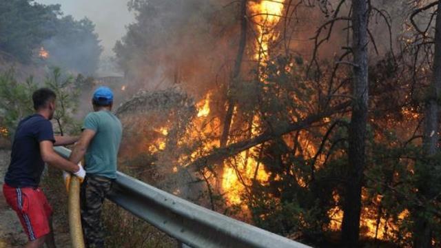 Datça'daki yangında yaralar sarılıyor! Bakanlıktan evleri tahliye edilen ailelere 3 bin TL nakit desteği Datça'daki yangında yaralar sarılıyor! Bakanlıktan evleri tahliye edilen ailelere 3 bin TL nakit desteği