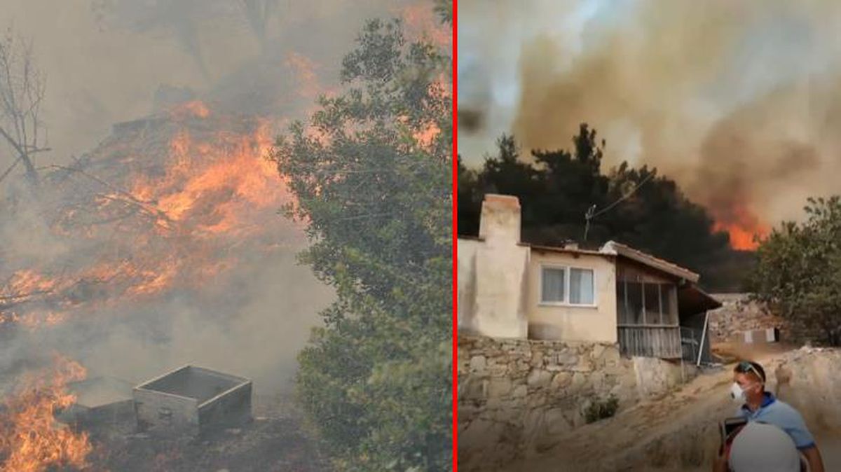 Son Dakika: Datça'da orman yangını! Alevler evlere sıçradı, bölge tahliye ediliyor