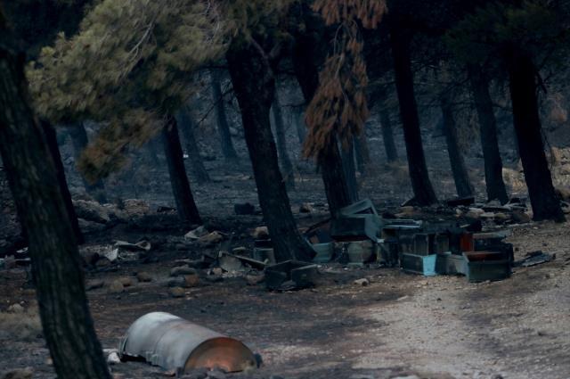 Bakan Kirişci: Datça'daki yangın ilk tespitlere göre elektrik trafosundan çıktı Bakan Kirişci: Datça'daki yangın ilk tespitlere göre elektrik trafosundan çıktı