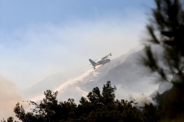 Bakan Kirişci: Datça'daki yangın ilk tespitlere göre elektrik trafosundan çıktı Bakan Kirişci: Datça'daki yangın ilk tespitlere göre elektrik trafosundan çıktı
