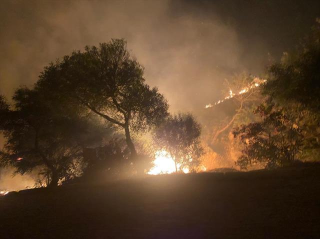 Datça ve Çeşme'de ciğerlerimiz yanıyor! İki bölgede de evler tahliye edildi Datça ve Çeşme'de ciğerlerimiz yanıyor! İki bölgede de evler tahliye edildi
