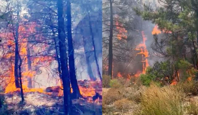 Gece görüşlü helikopterler göreve başladı Gece görüşlü helikopterler göreve başladı