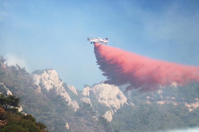 Son Dakika: Datça'daki orman yangını kontrol altına alındı, soğutma çalışmaları devam ediyor Son Dakika: Datça'daki orman yangını kontrol altına alındı, soğutma çalışmaları devam ediyor
