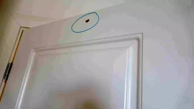 Cumhurbaşkanını hedef aldıkları otelde izler hala duruyor