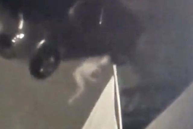 Güvenlik kameralarının açısına giren esrarengiz canlı dünya genelinde büyük merak yarattı