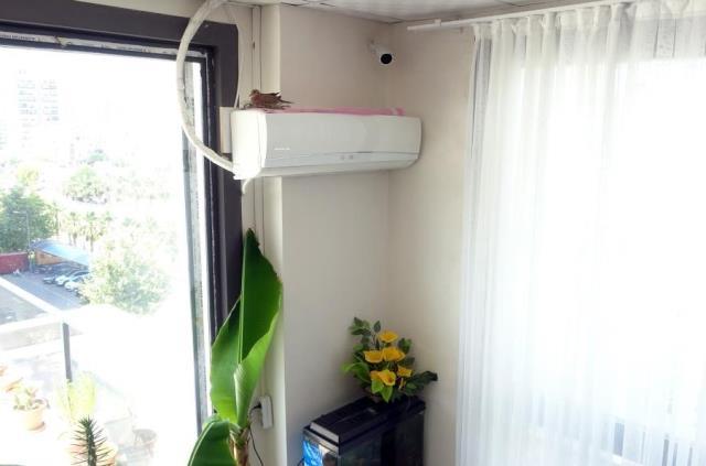 Kuş klimaya yuva yaptı... 40 derecelik sıcağa rağmen çalıştırmıyor