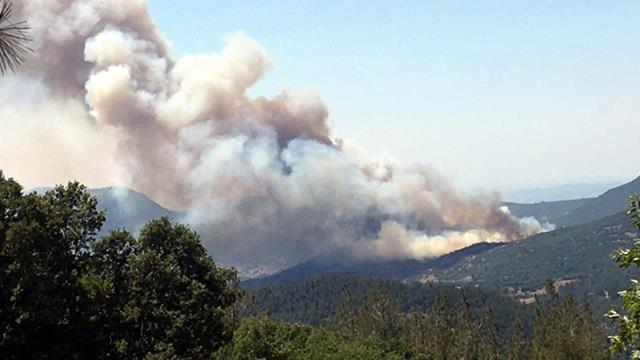 Balıkesir'deki yangınla ilgili yetkililer tek ihtimal üzerinde duruyor: Enerji nakil hatlarından kaynaklı olabilir