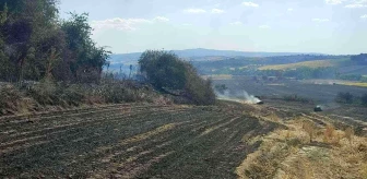 Malkara'da 380 dönüm buğday tarlası kül oldu