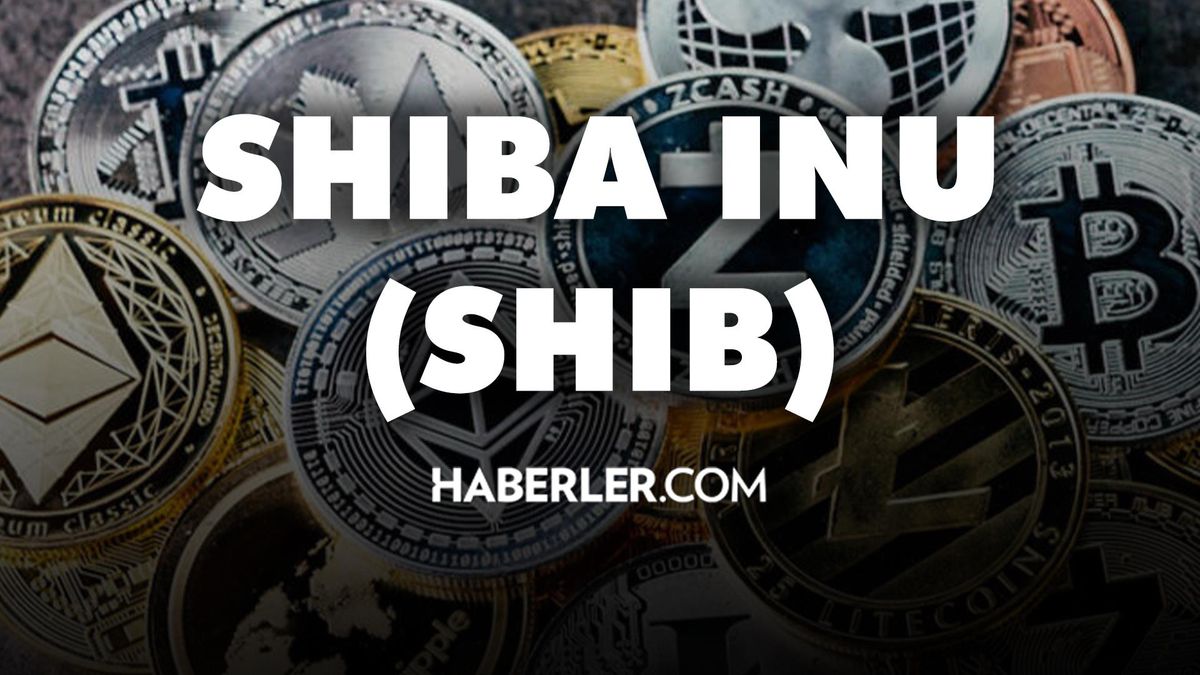 Shiba Inu (SHIB) kaç dolar? 17 Temmuz 2022 Shiba Inu (SHIB) kaç TL oldu, ne kadar? 