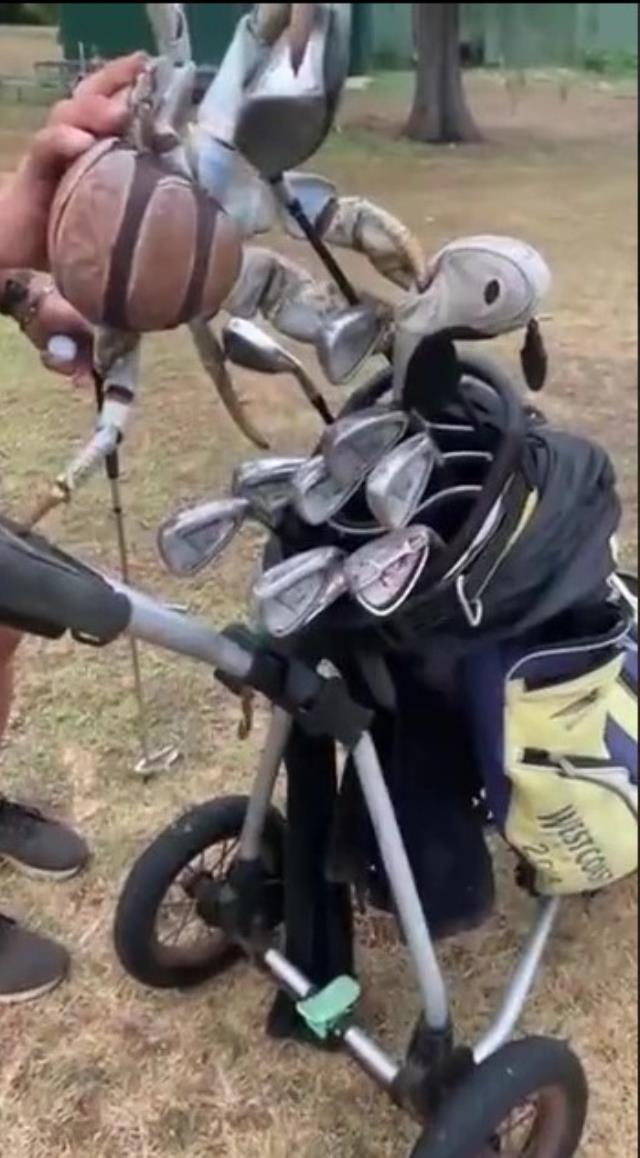 Delicesine güçlü yengeç, golf sopasını ikiye böldü