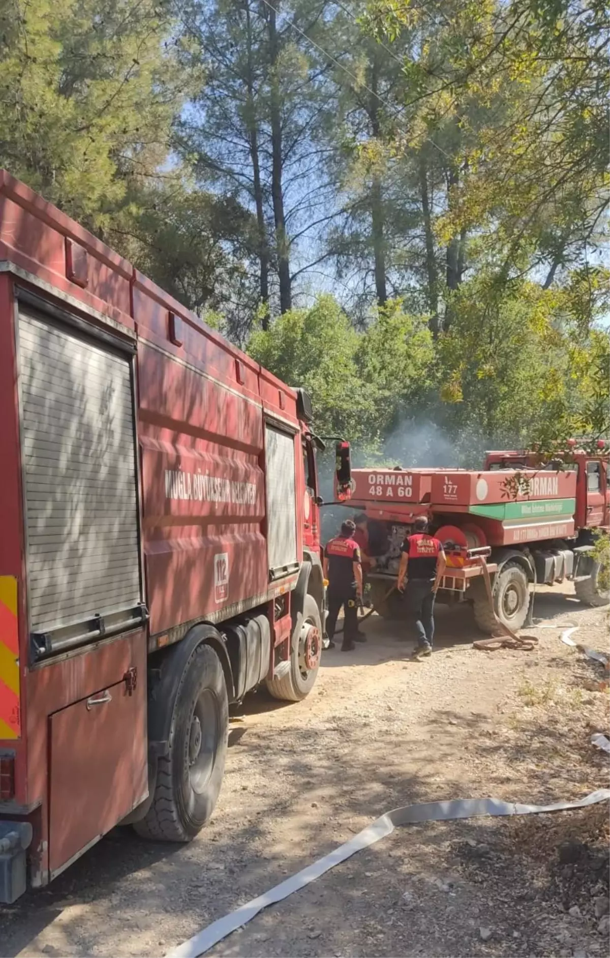 Son dakika haberi... Muğla'da çıkan orman yangınları söndürüldü