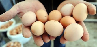 Yumurtaya zam mı geldi? Yumurta fiyatları ne kadar? Bir koli yumurta kaç TL?