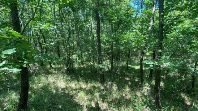 8 gün boyunca ormanda yaşayan Şehmus neden çıplaktı? Cevabı kendisi verdi