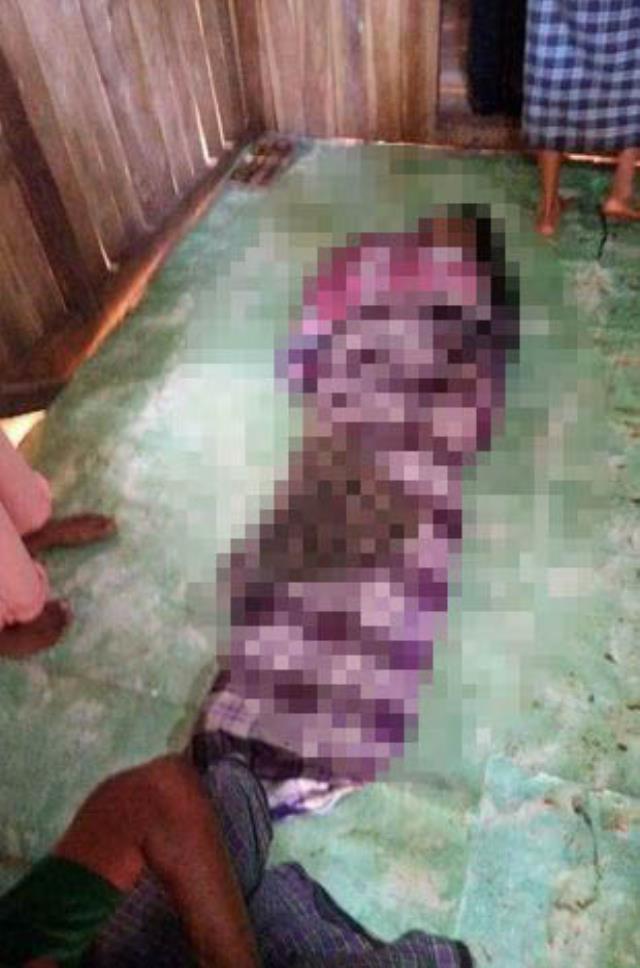 Toprağın altından fırlayan devasa yılan, bahçedeki kadını bütün olarak yuttu! Bu olayı duymayanlar var