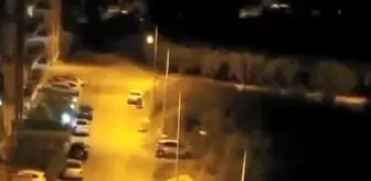 Bursa'da aç kalan domuz sürüsü şehir merkezine indi