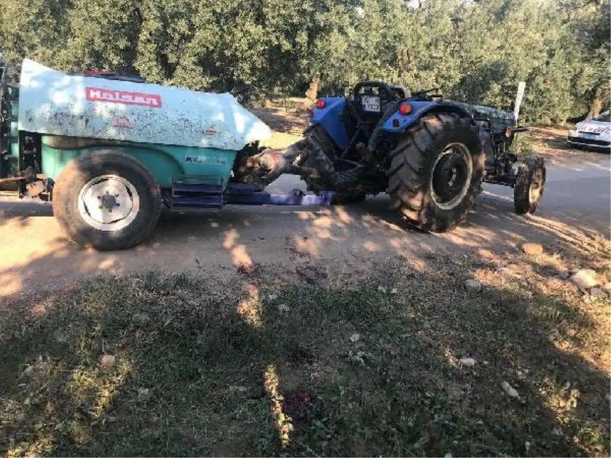 Son dakika haber... Dedesinin kullandığı traktörden düşüp öldü