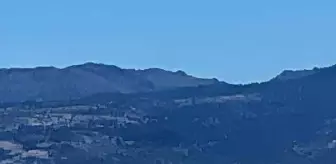  Ermenek'te orman yangını