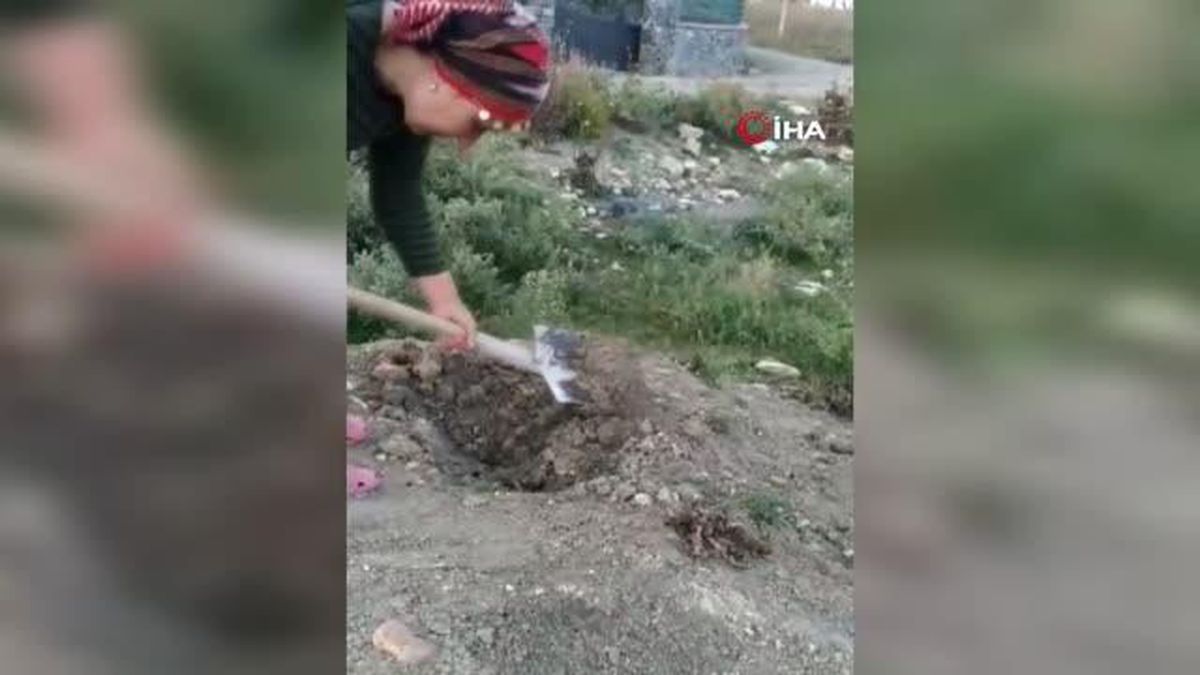 Pompalı tüfekle öldürülen kedisini 'kızım' diyerek gözyaşlarıyla toprağa verdi