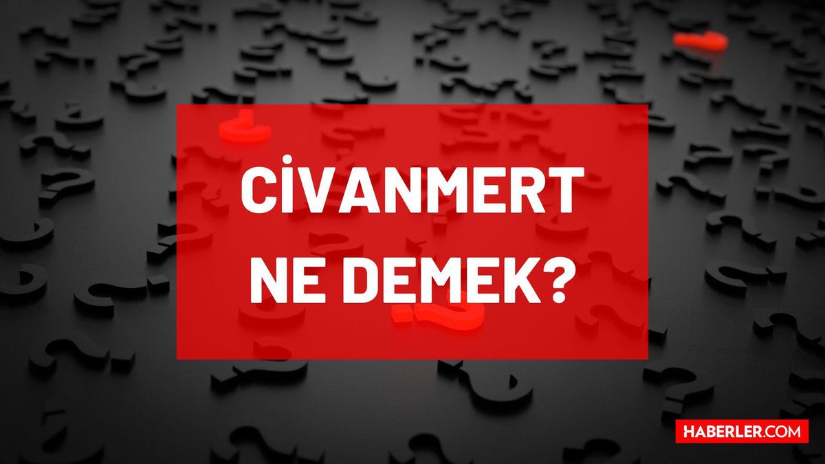 Civanmert ne demek? Civanmert isminin anlamı nedir? TDK'ya göre Civanmert ne anlama geliyor?