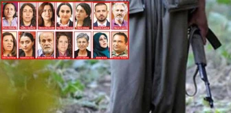 Güvenlik güçlerine teslim olan PKK'lı terörist her şeyi itiraf etti: HDP'li vekillerin listeleri Kandil'de hazırlandı