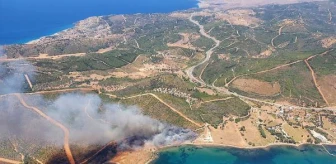  İzmir Seferihisar'da orman yangını (2)