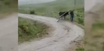 Yaylada başı ahşap merdivene sıkışan ineği vatandaşlar kurtardı