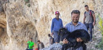 15 metrelik çukura düşen keçiyi itfaiye kurtardı