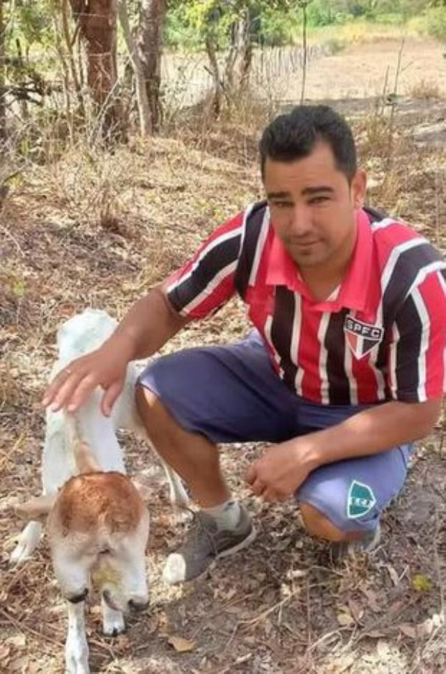 Ahırında yeni doğan buzağıyı gören gören çiftçinin eli ayağı titredi! Annesi, yanına kimseyi yaklaştırmadı Ahırında yeni doğan buzağıyı gören gören çiftçinin eli ayağı titredi! Annesi, yanına kimseyi yaklaştırmadı