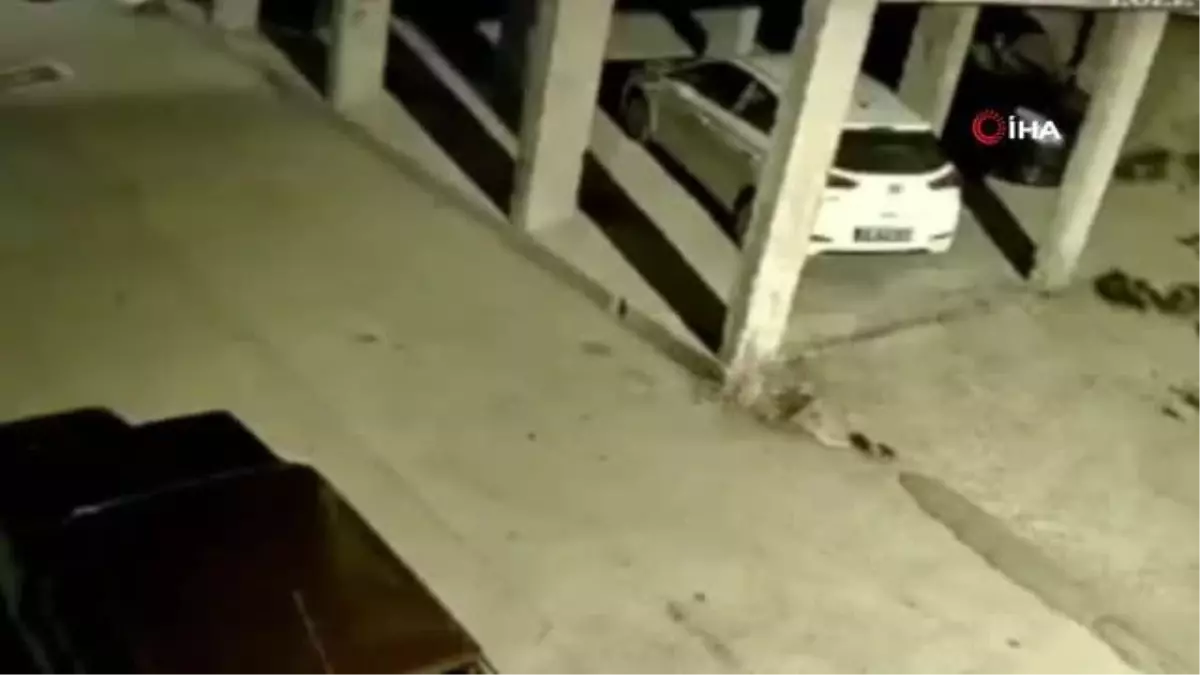 Son dakika haberi! Bursa'da hırsıza alarm engeli kamerada